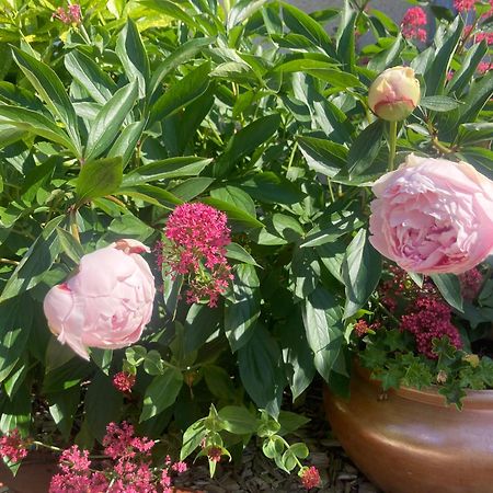 Logis Cote Jardin Villa Varennes-les-Narcy Eksteriør billede